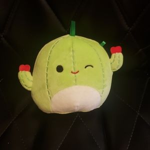 ❤🌵Squishmallow Cactus🌵❤